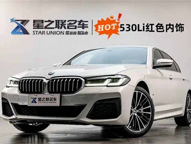 BMW 5 SERIES 2024