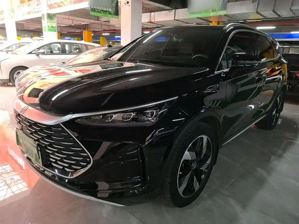 Byd Tang New Energy 2024
