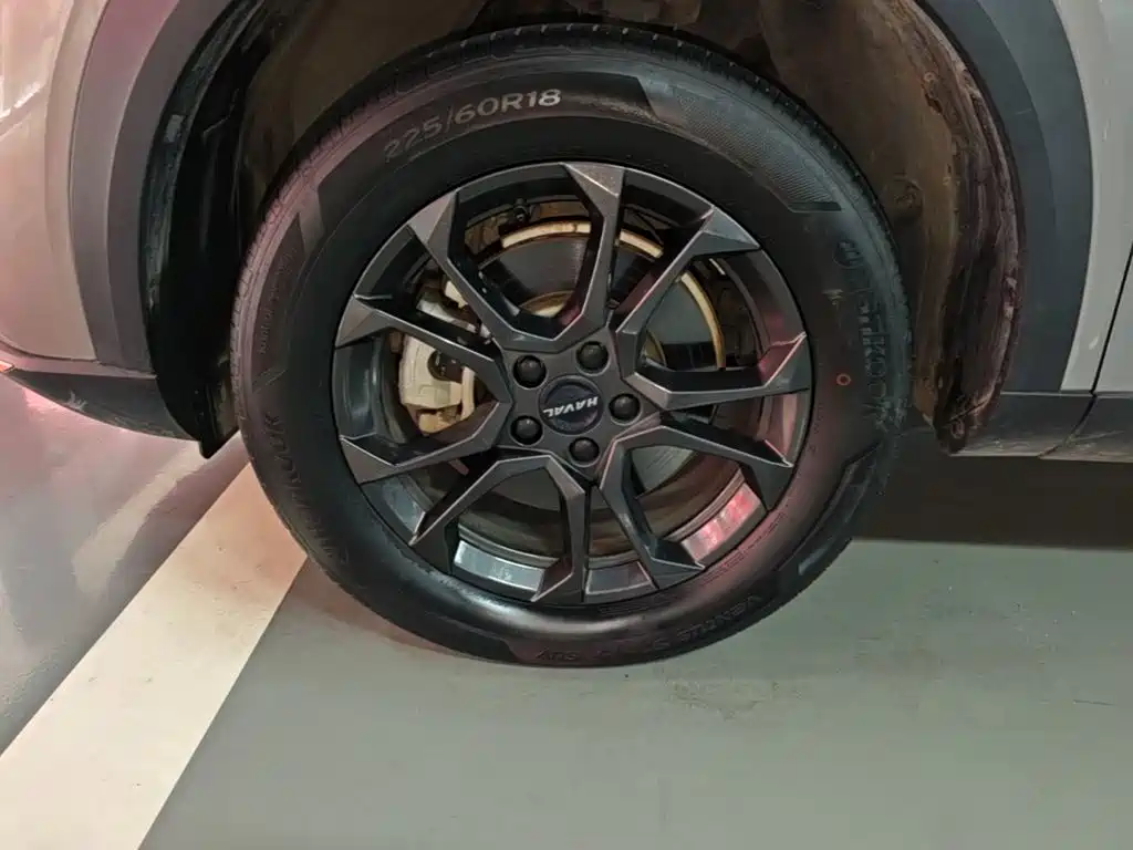 Haval Shenshou — миниатюра 23