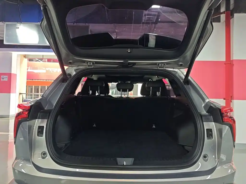 Haval Shenshou — миниатюра 19