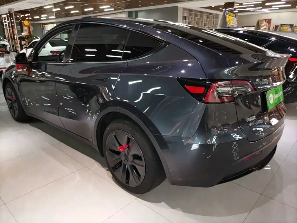 Tesla Model Y — миниатюра 5