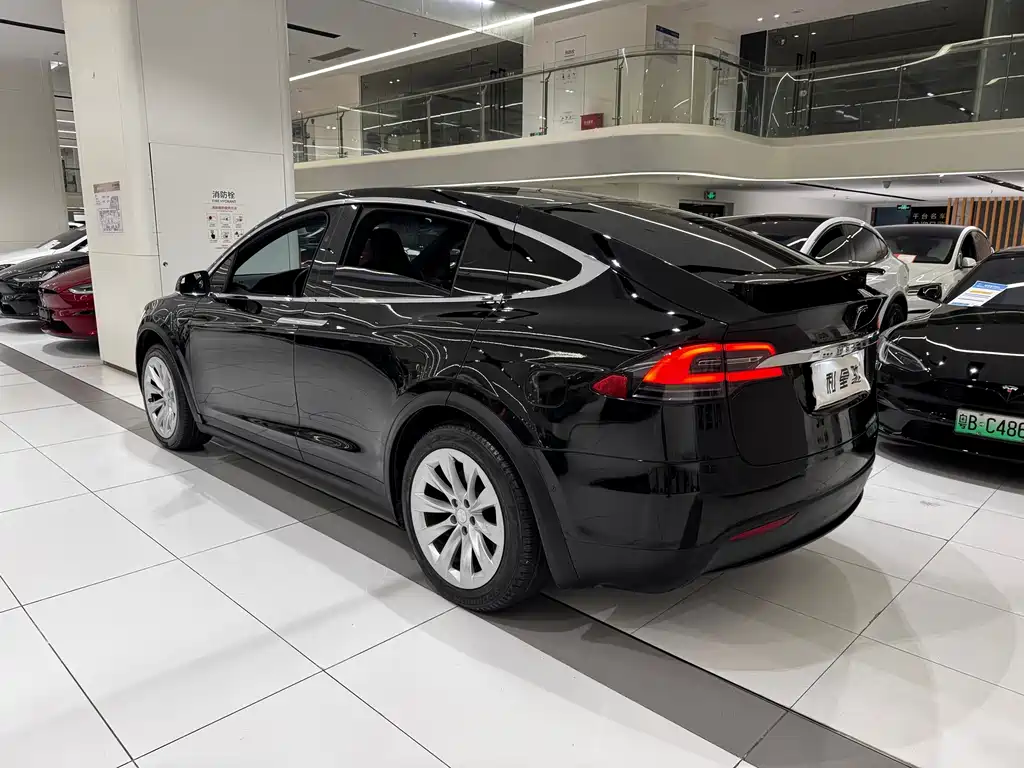 Tesla Model X — миниатюра 15