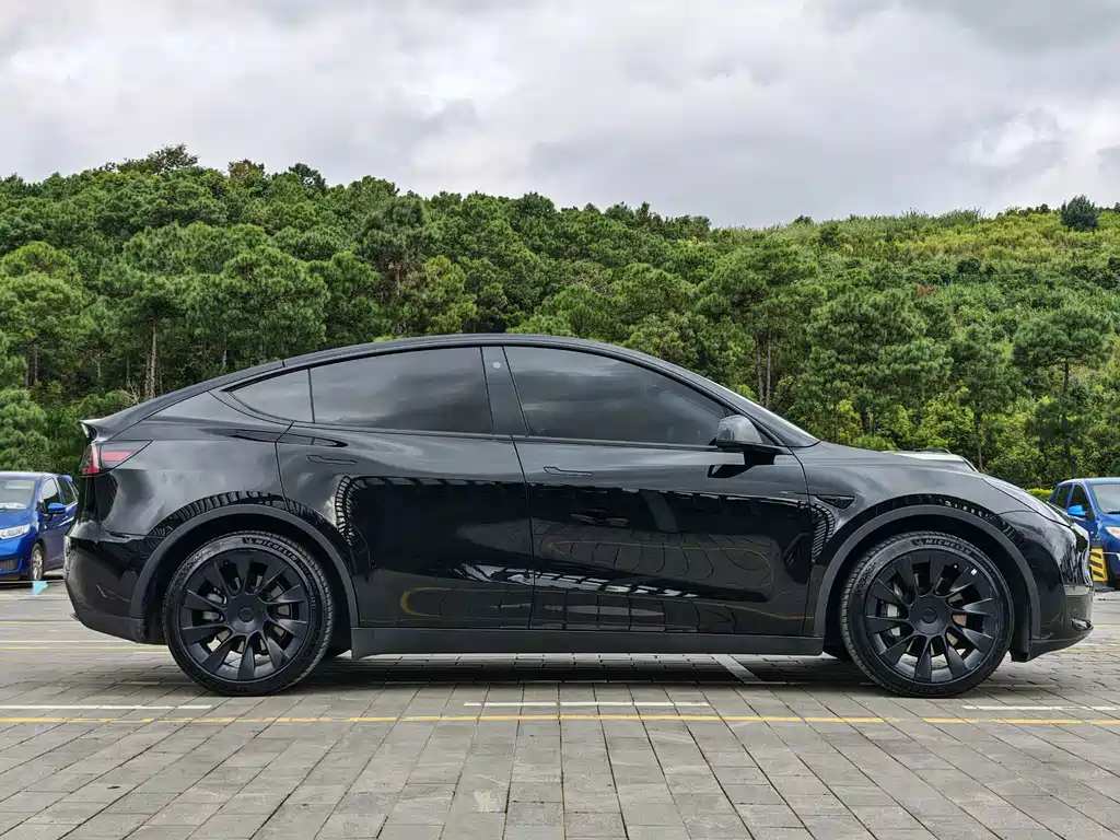 Tesla Model Y — миниатюра 9