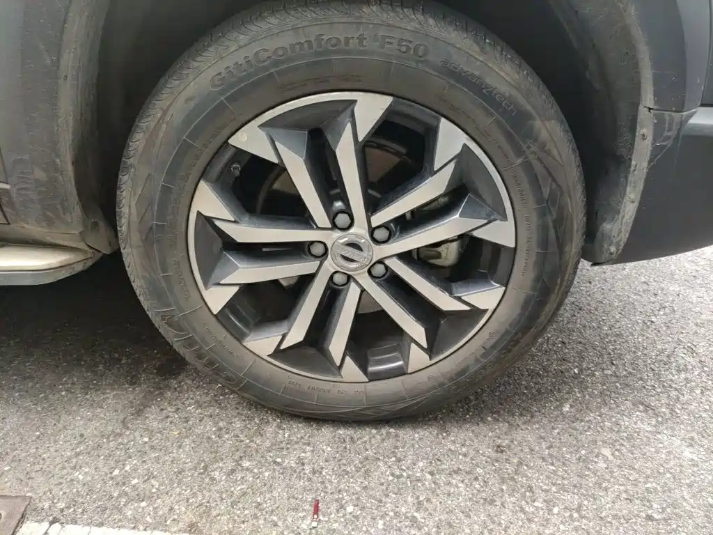 Haval Big Dog — миниатюра 24