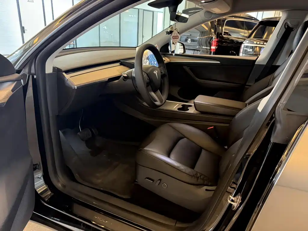 Tesla Model Y — миниатюра 5