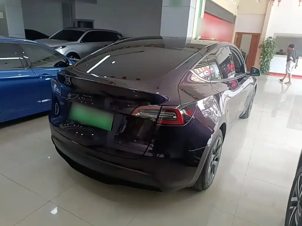 Tesla Model Y — миниатюра 7