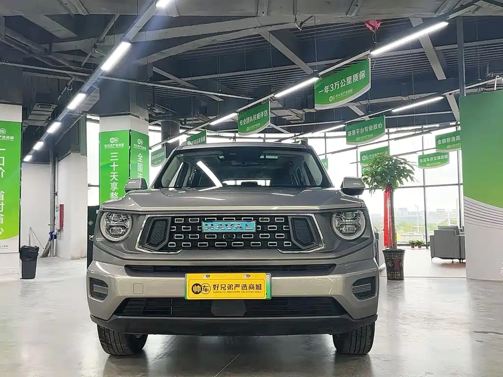 HAVAL  SECOND GENERATION BIG DOG NEW ENERGY
