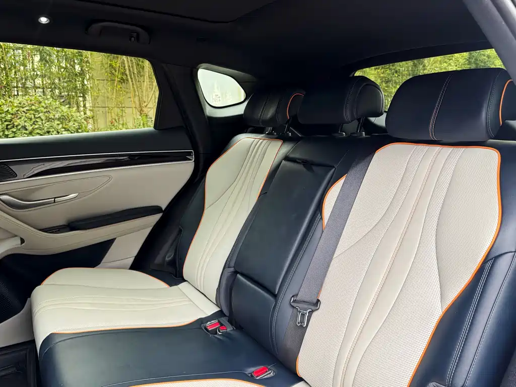 BYD SONGJIANG NEW ENERGY