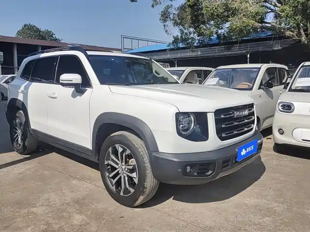 HAVAL BIG DOG