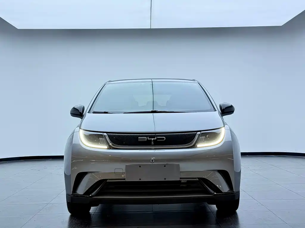 BYD Dolphin — миниатюра 2