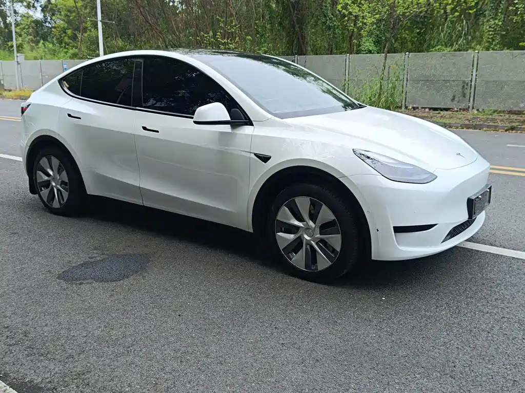 Tesla Model Y — миниатюра 24