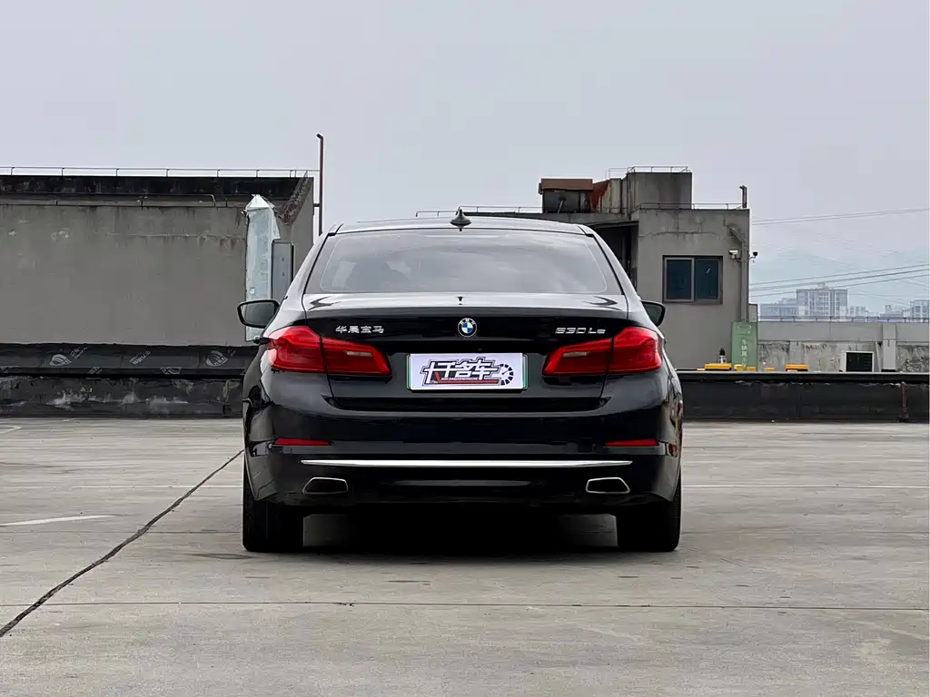 BMW 5 SERIES NEW ENERGY