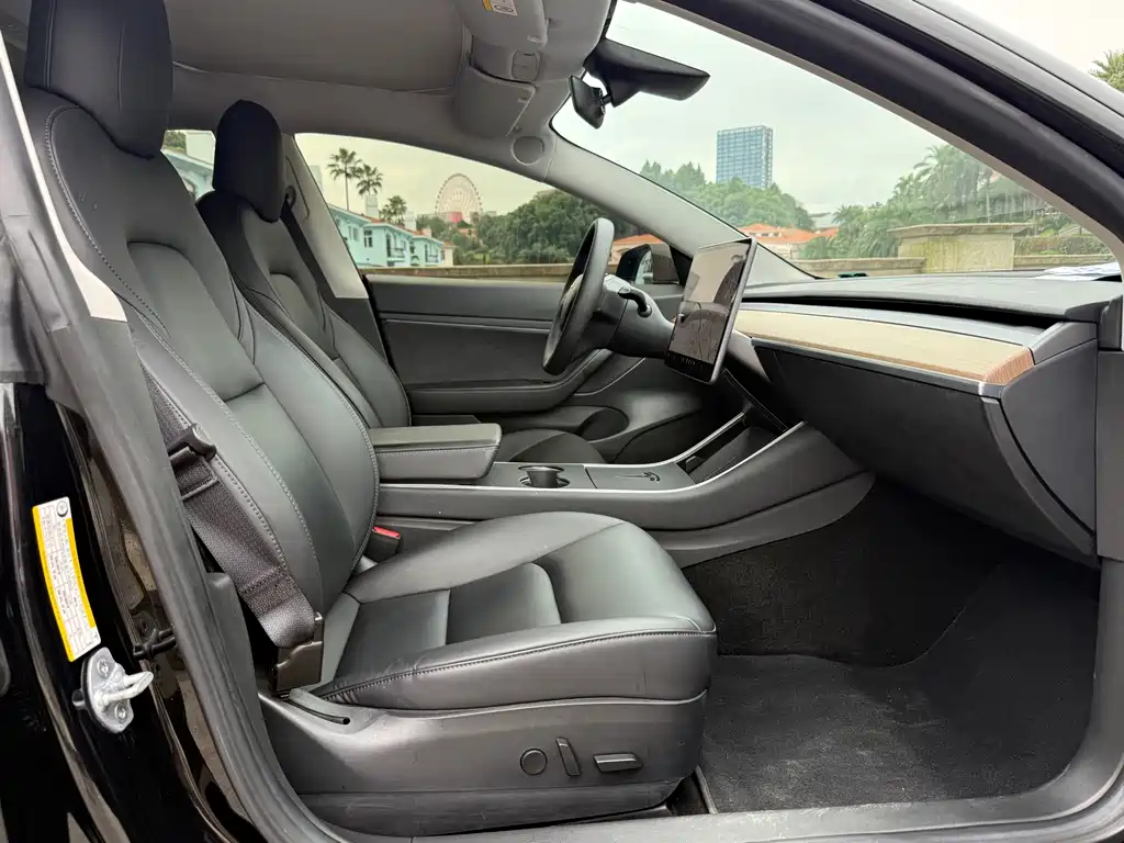 Tesla Model 3 — миниатюра 6