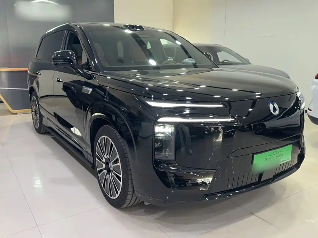 Denza Denza N8L — миниатюра 5