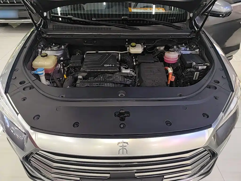 BYD Pro New Energy — миниатюра 20