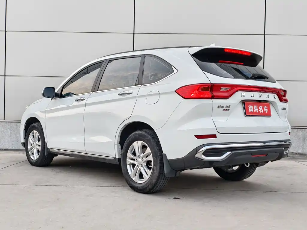 HAVAL M6