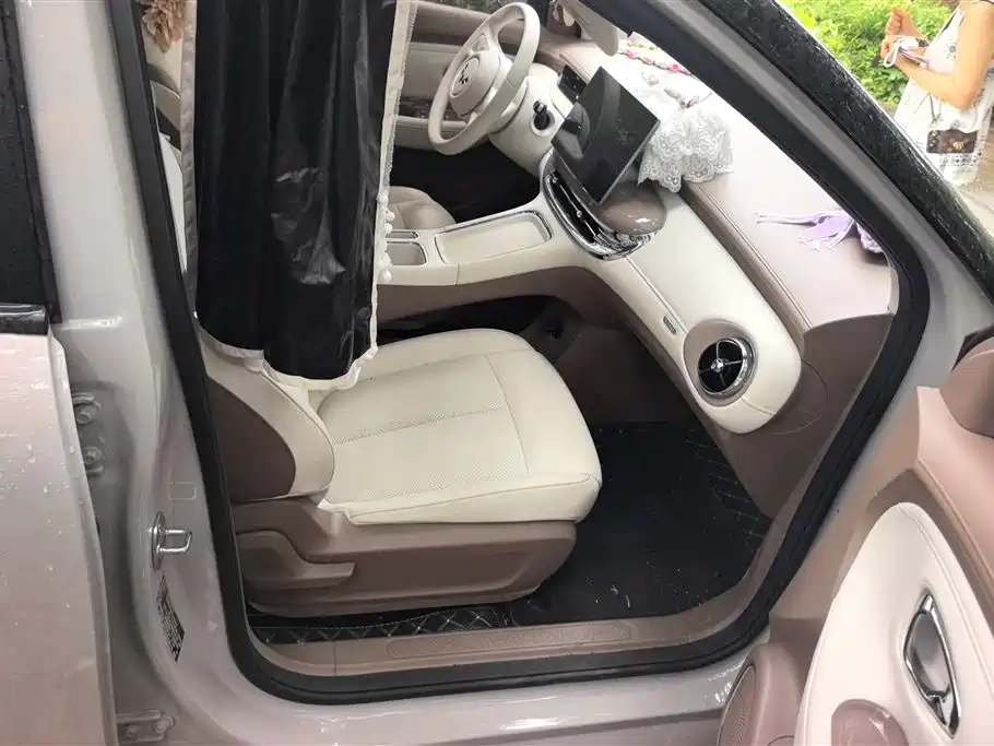 Wuling BinguoPro Pro 2026 330km Premium