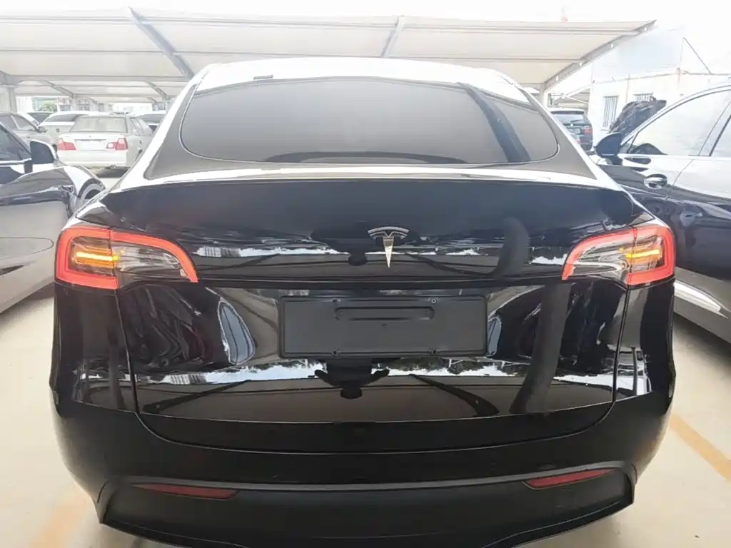 Tesla Model Y — миниатюра 6