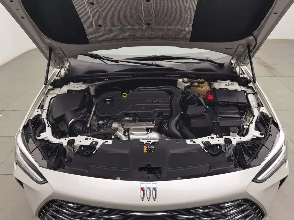 Buick Regal — миниатюра 6
