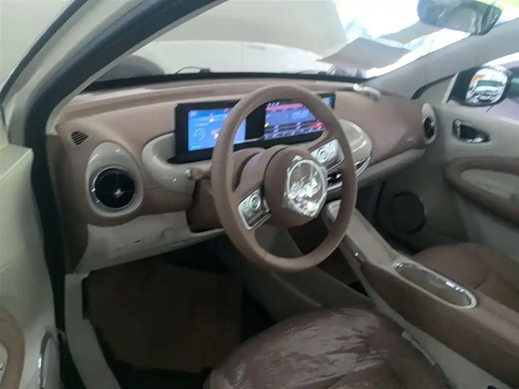 Wuling Binguo 2025 333km Enjoy