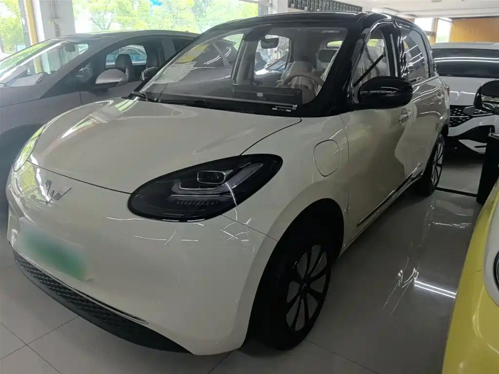Wuling Binguo 2025 333km Enjoy