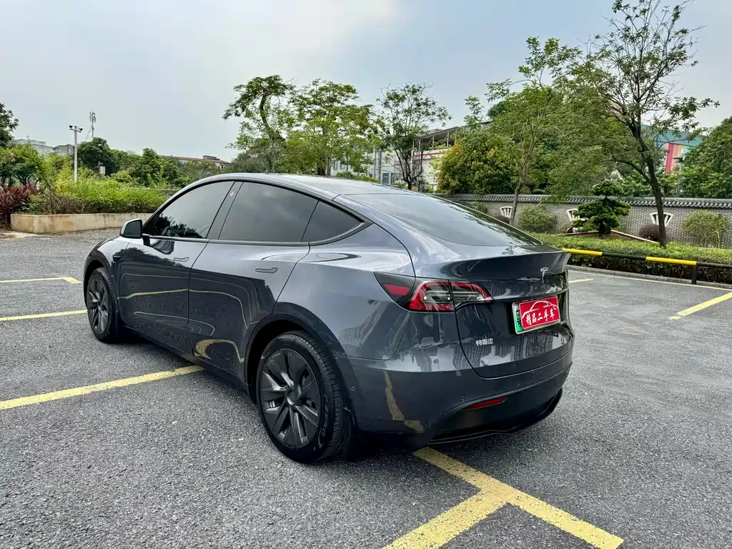 Tesla Model Y — миниатюра 5