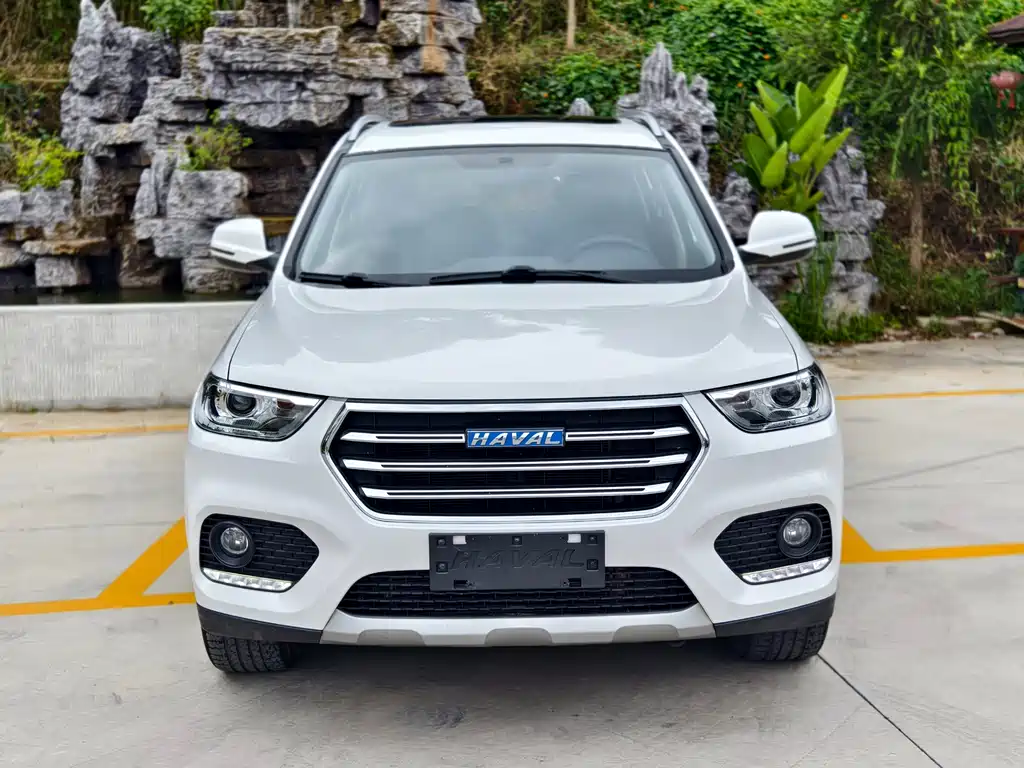 HAVAL  H2