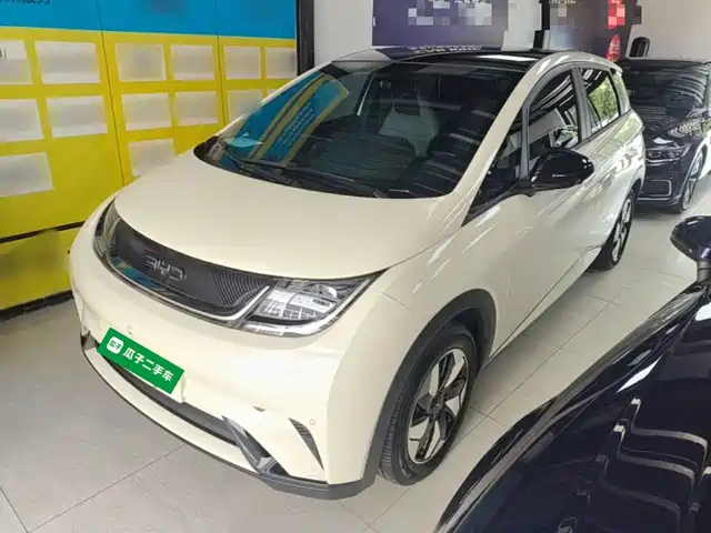 2024 BYD Dolphin