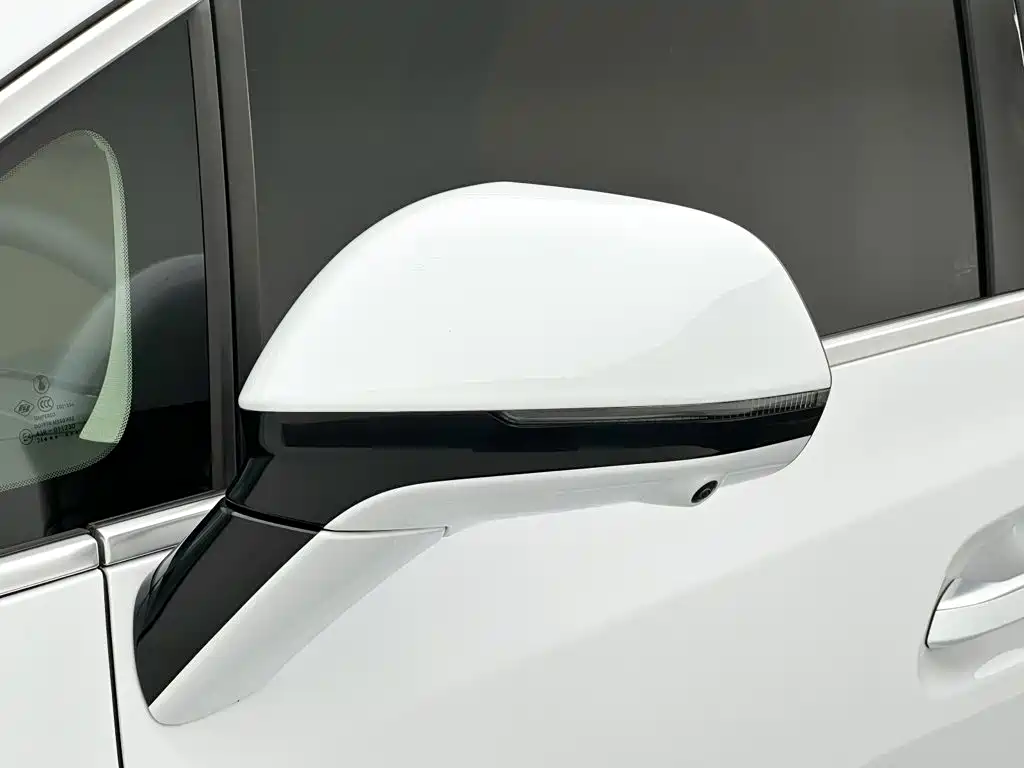 Denza Denza D9 — миниатюра 24