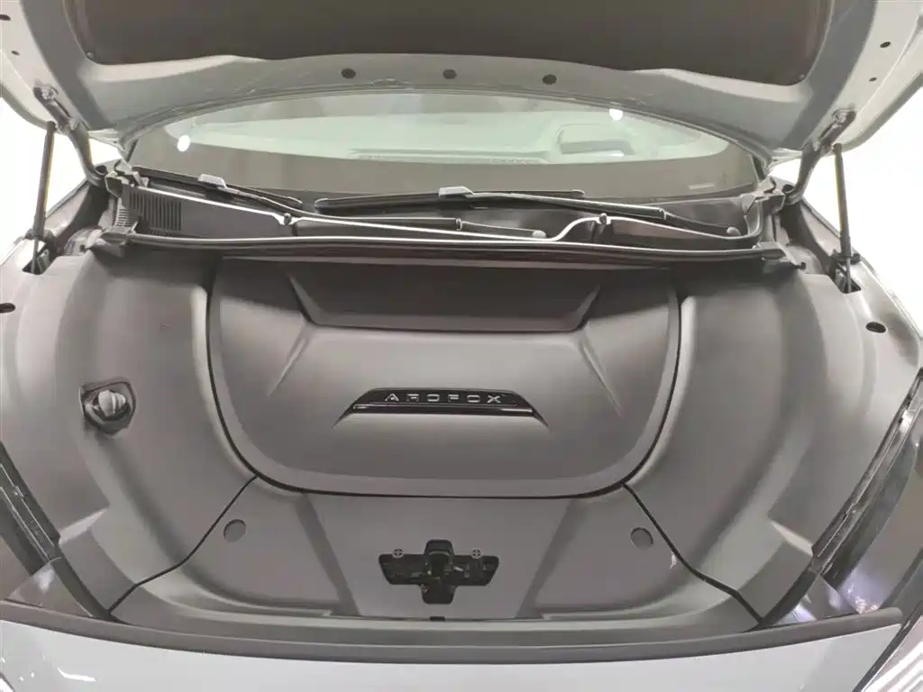 ARCFOX EXTREME FOX POLAR FOX ALPHA S