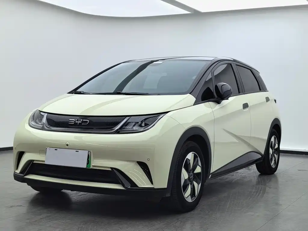Byd Dolphin 2024