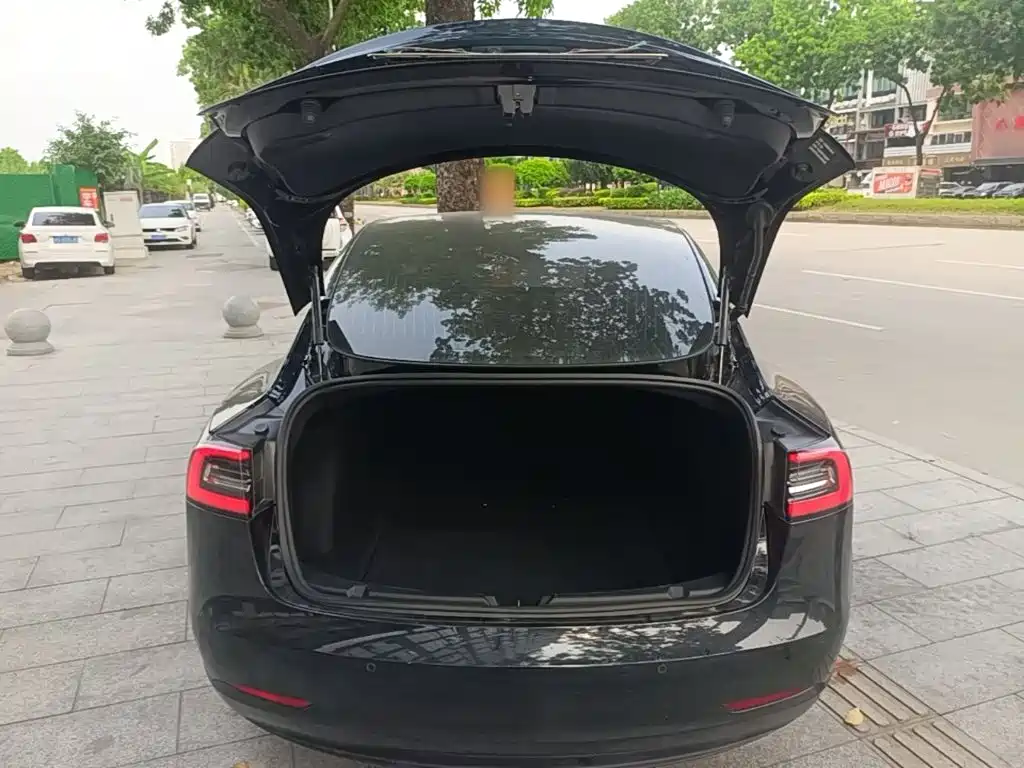 Tesla Model 3 — миниатюра 19