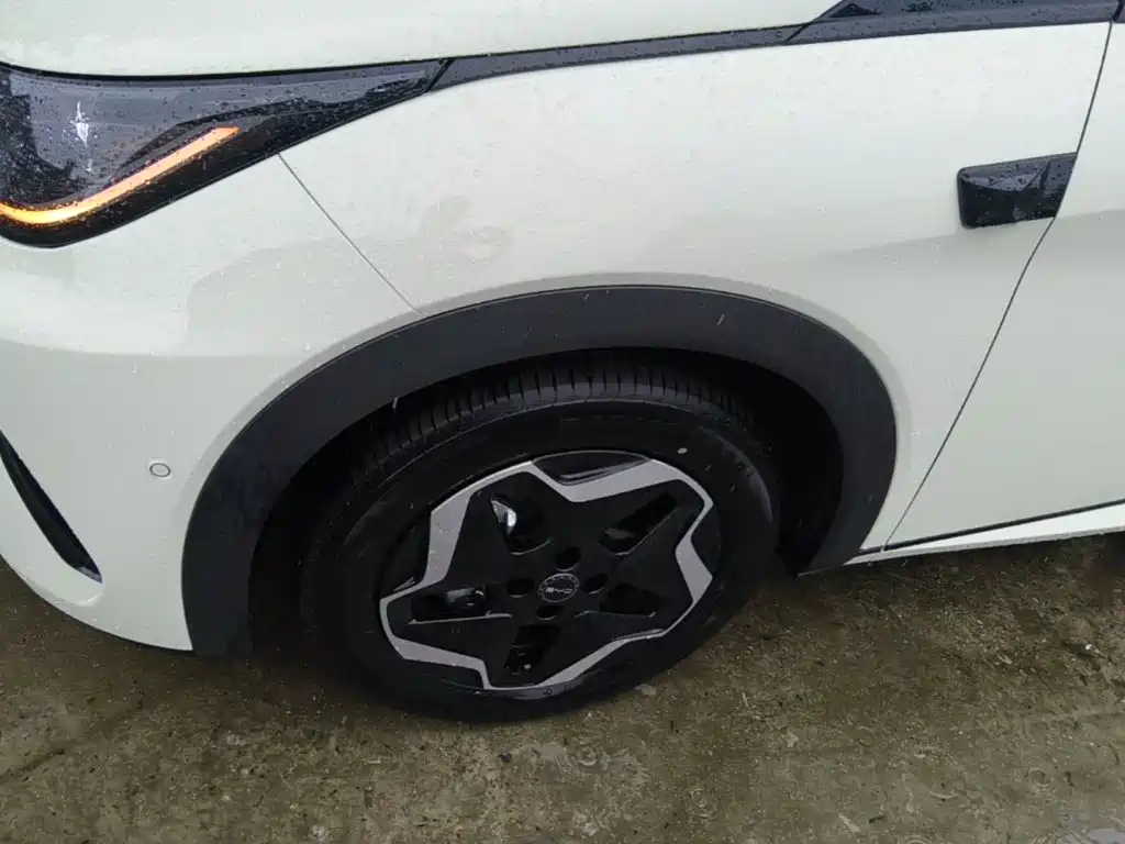 BYD Dolphin — миниатюра 23
