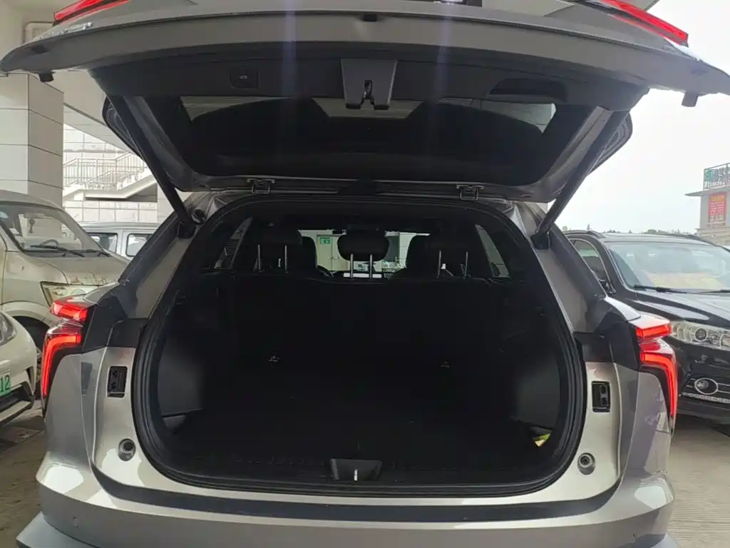 Haval Shenshou — миниатюра 19