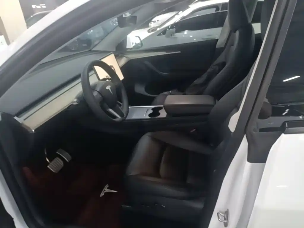 Tesla Model Y — миниатюра 15