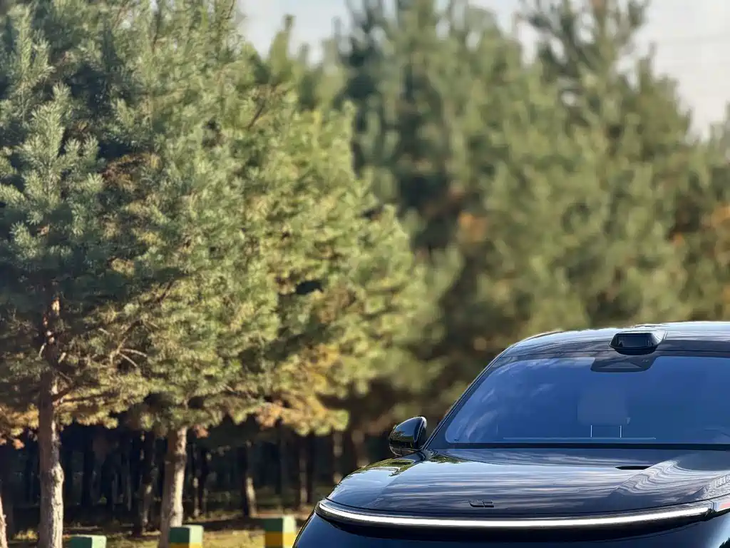 Li Auto Li L9 — миниатюра 17
