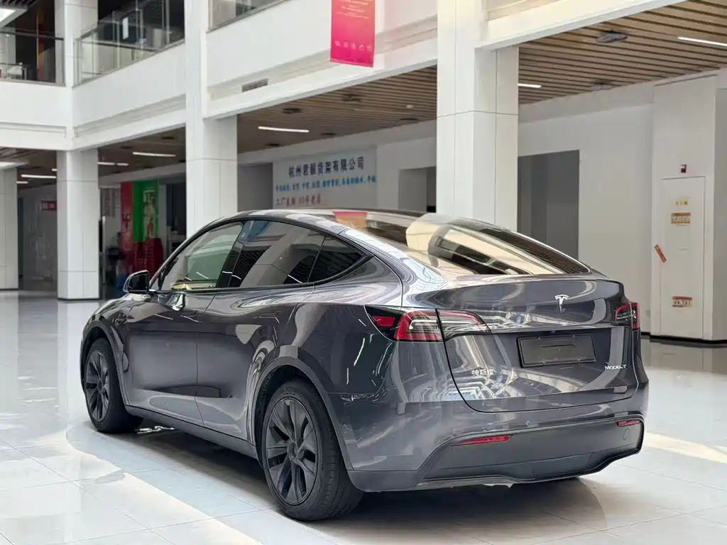 Tesla Model Y — миниатюра 7