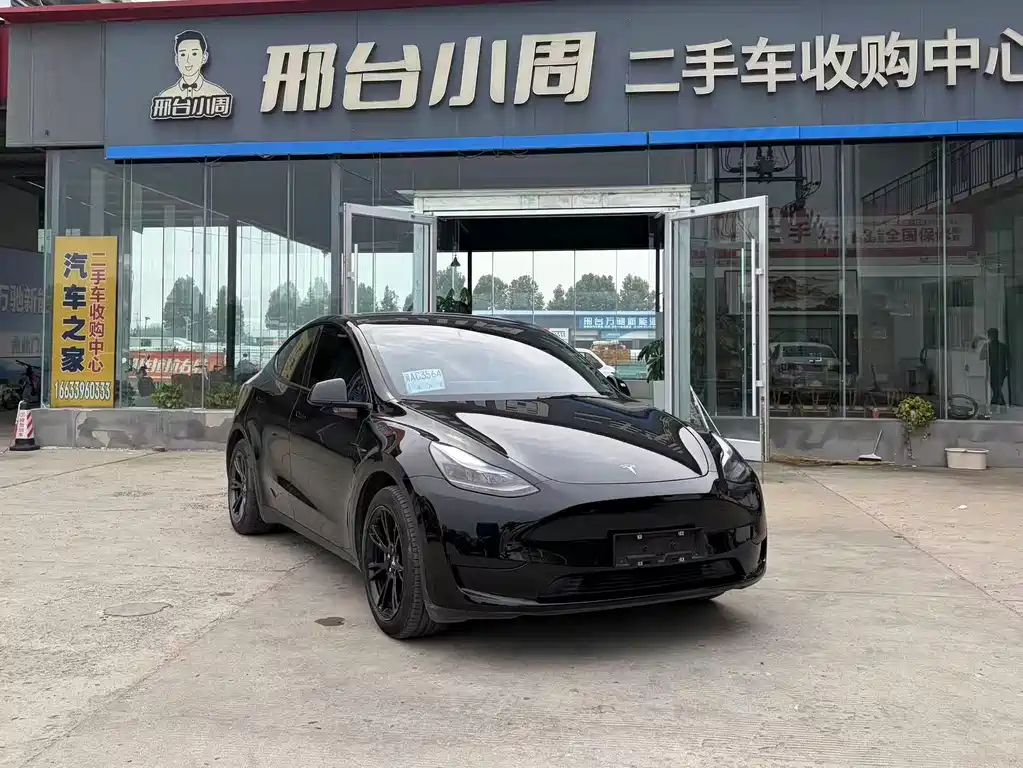Tesla Model Y — миниатюра 3