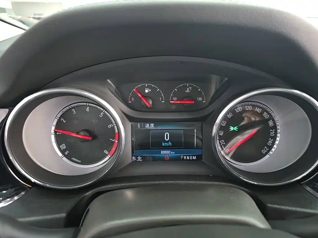 Buick Regal — миниатюра 12