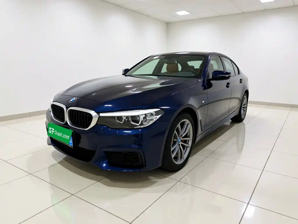 BMW 5 Series (Import) — миниатюра 2