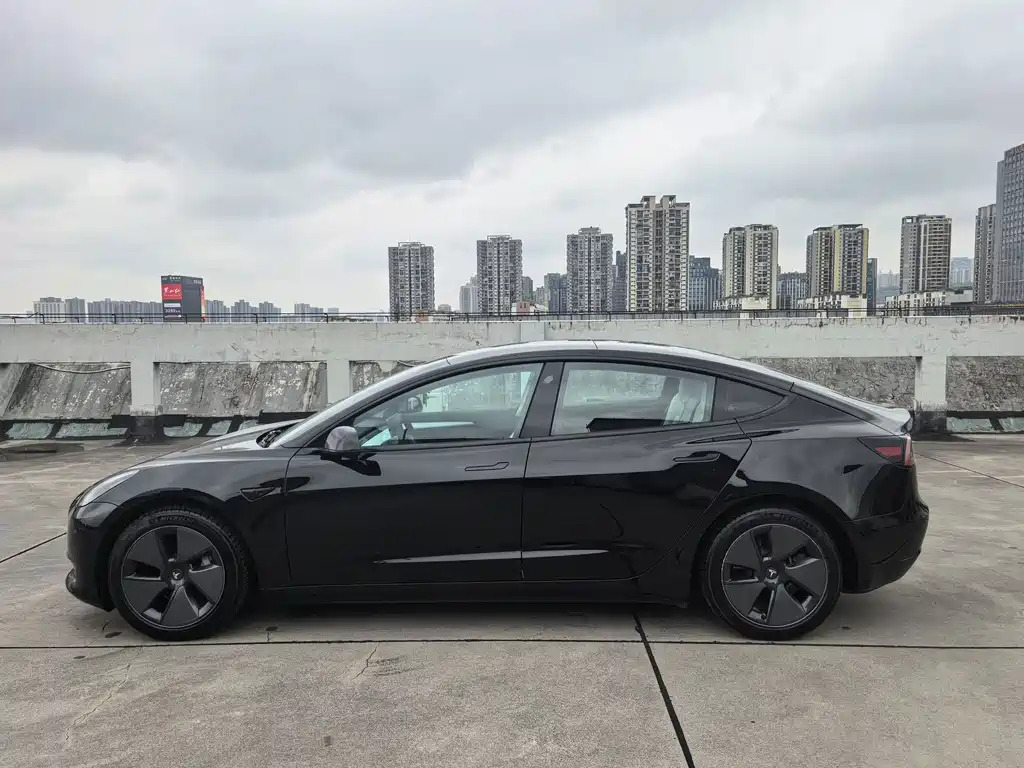 Tesla Model 3 — миниатюра 4