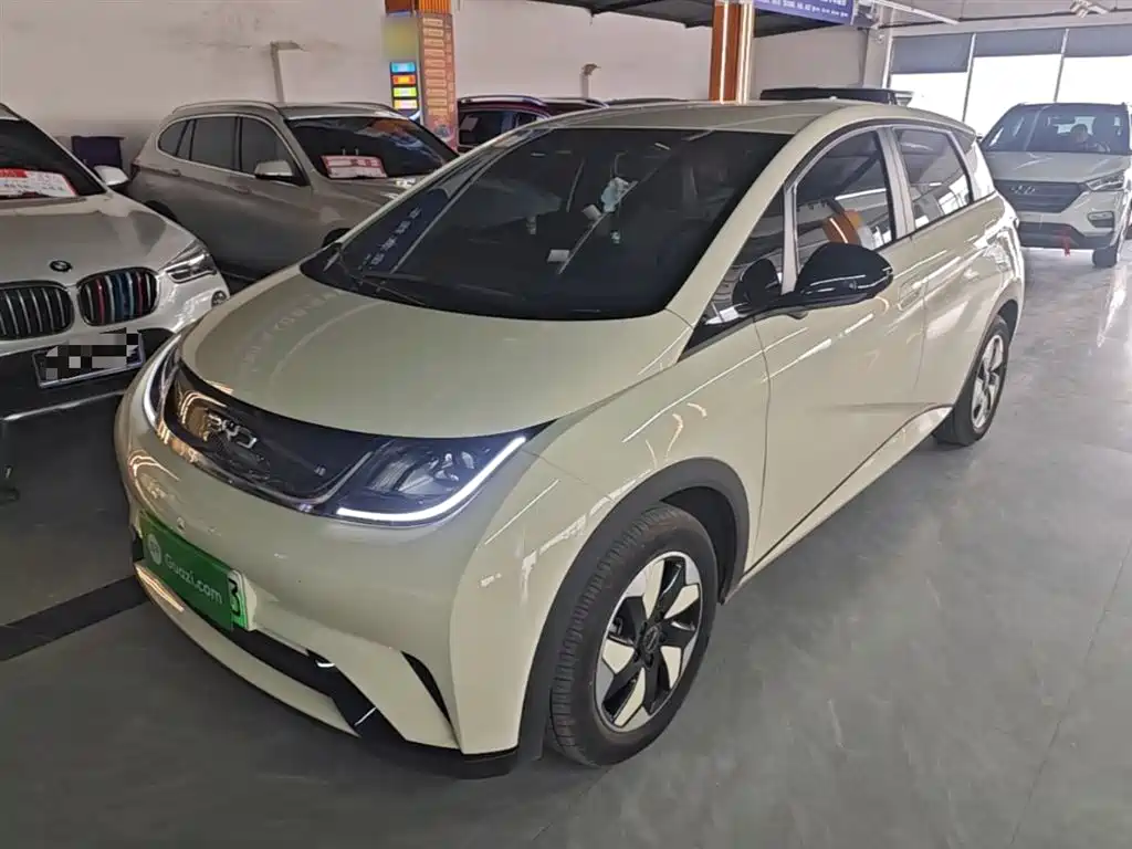 Byd Dolphin 2025