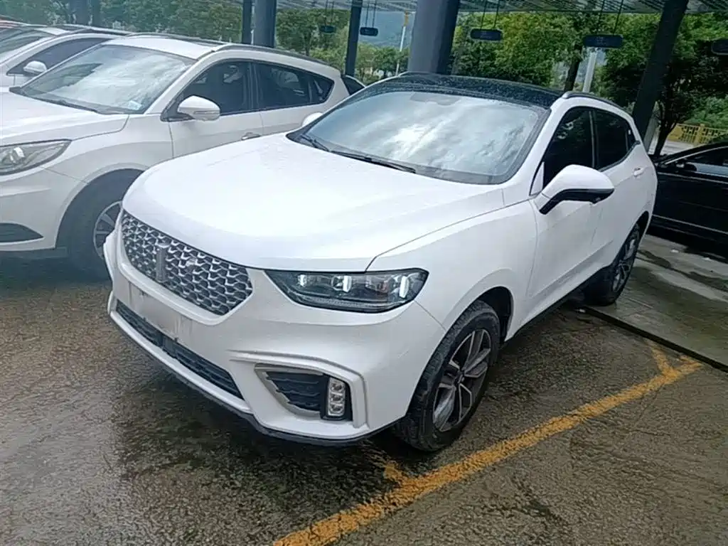 Wey Wey VV5 2021