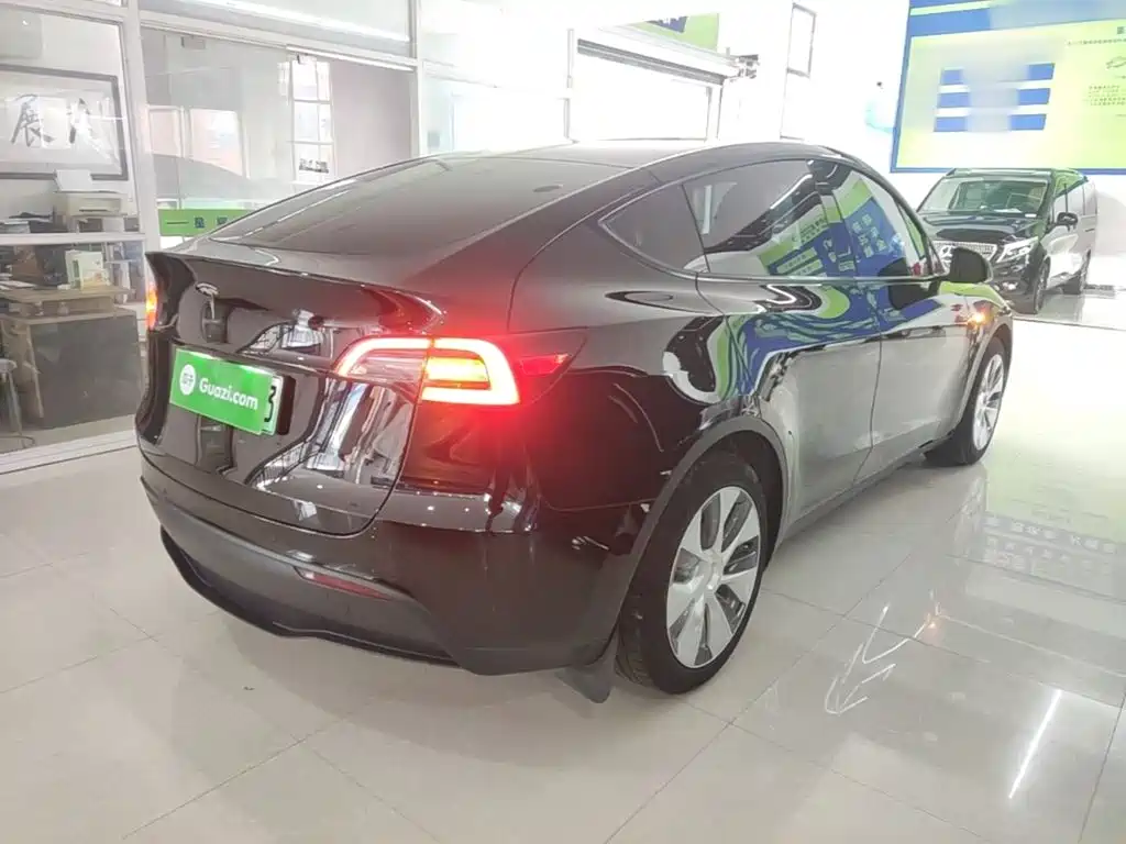 Tesla Model Y — миниатюра 5