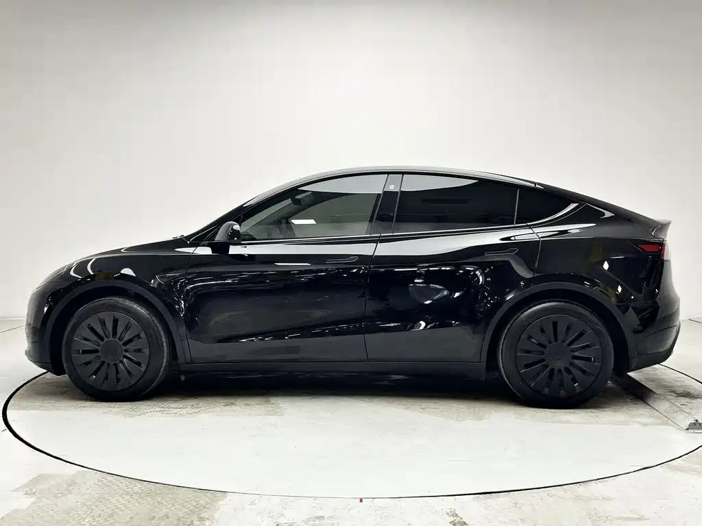 Tesla Model Y — миниатюра 19