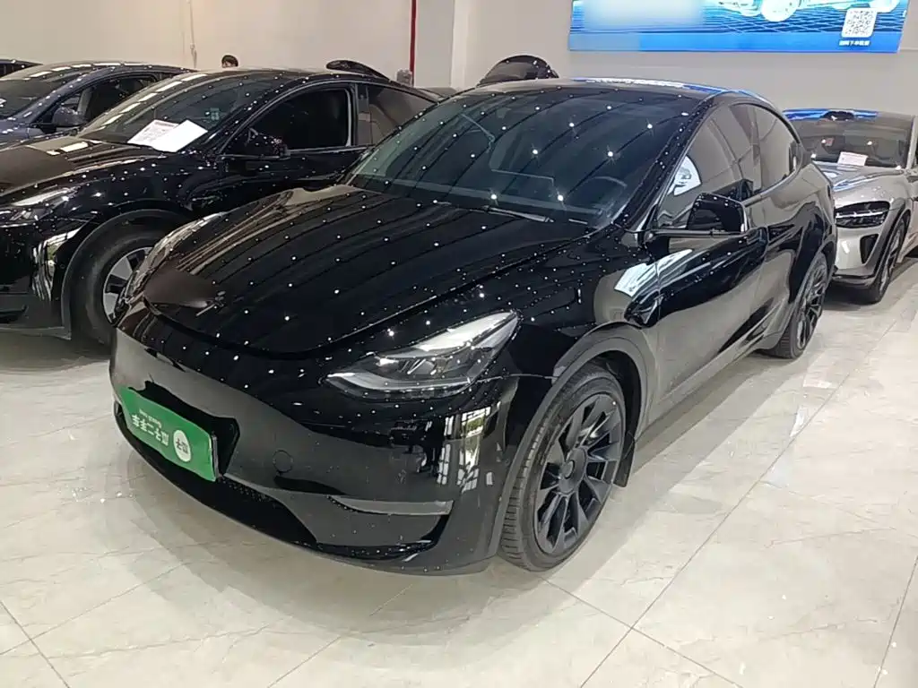 Tesla Model Y — миниатюра 2