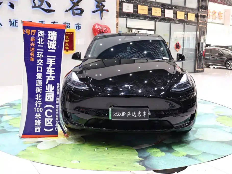Tesla Model Y — миниатюра 2