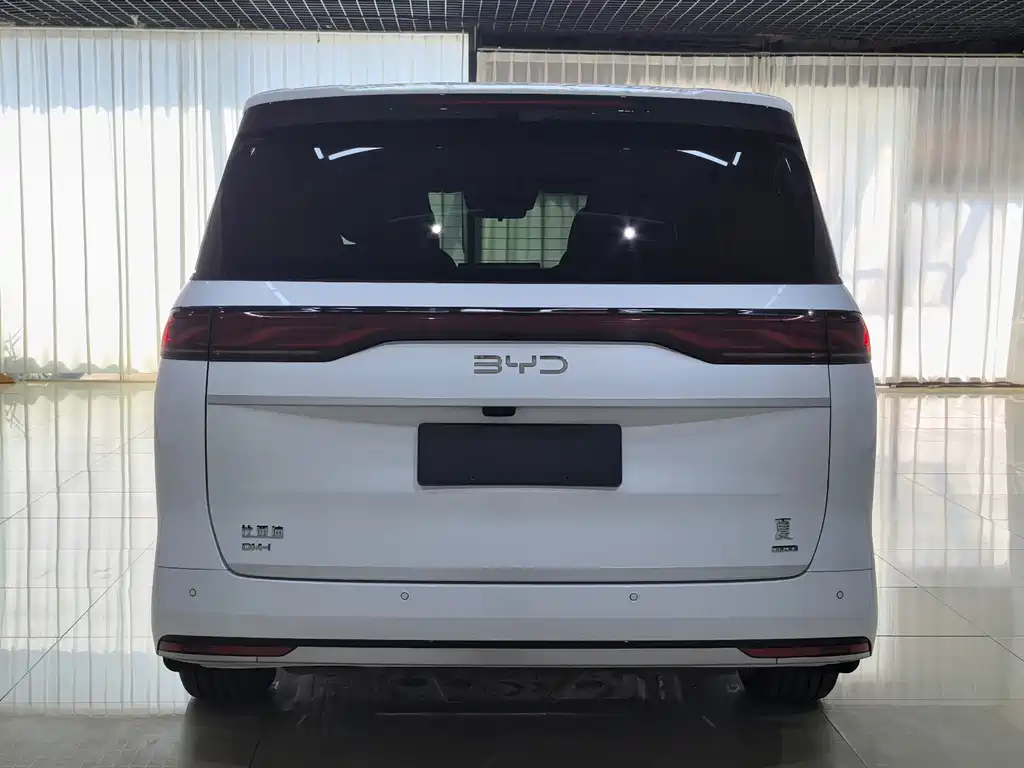BYD Xia — миниатюра 5
