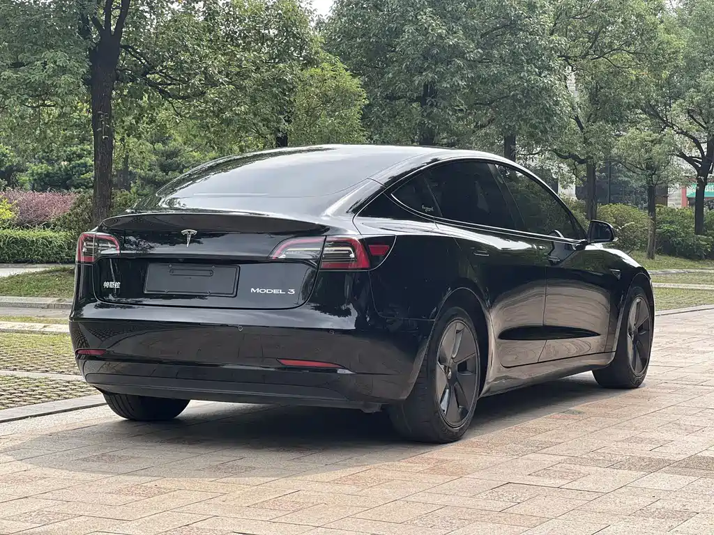 Tesla Model 3 — миниатюра 20