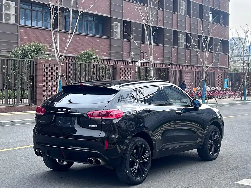 WEI PAI WEI BRAND VV5